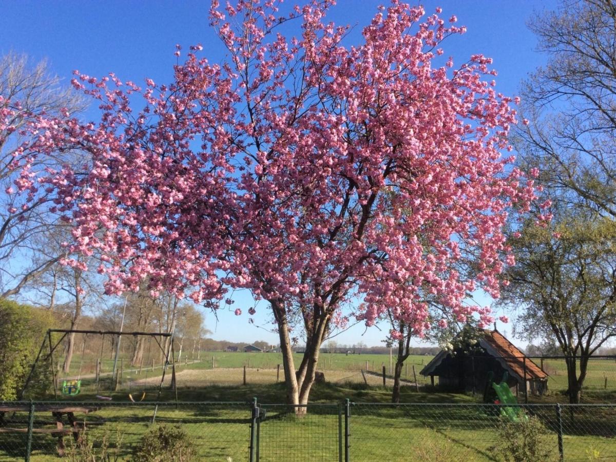 Fine Holiday Home In Donkerbroek 外观 照片
